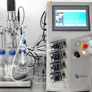 5l Off-site Sterilization Mechanical Stirring Glass Bioreactor